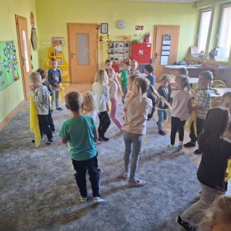 Wyświetl org. rozmiar