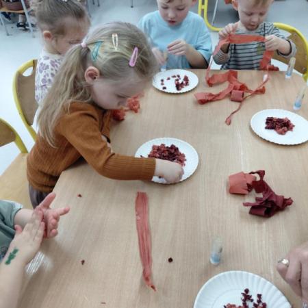 Wyświetl org. rozmiar