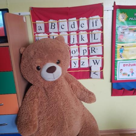 Wyświetl org. rozmiar