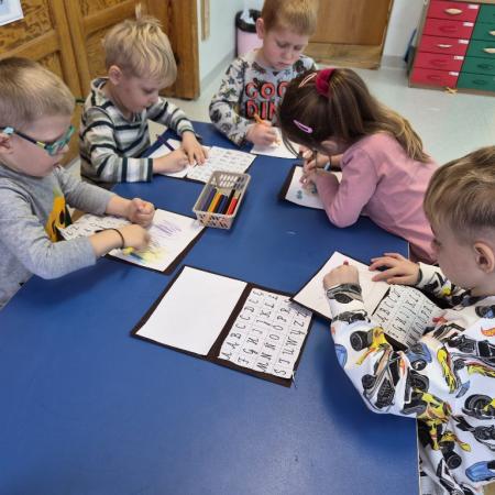 Wyświetl org. rozmiar