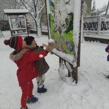 Wyświetl org. rozmiar