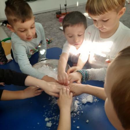 Wyświetl org. rozmiar