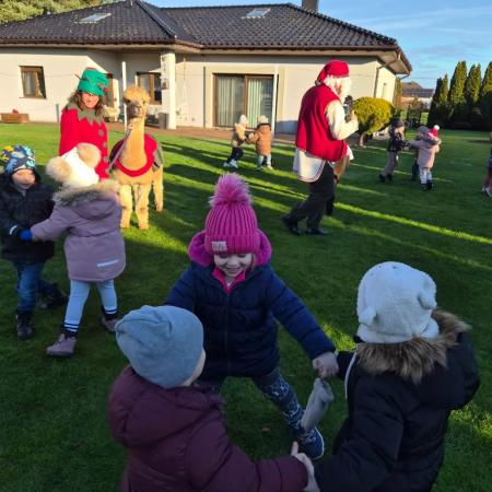 Wyświetl org. rozmiar