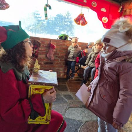 Wyświetl org. rozmiar