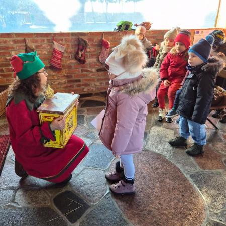 Wyświetl org. rozmiar