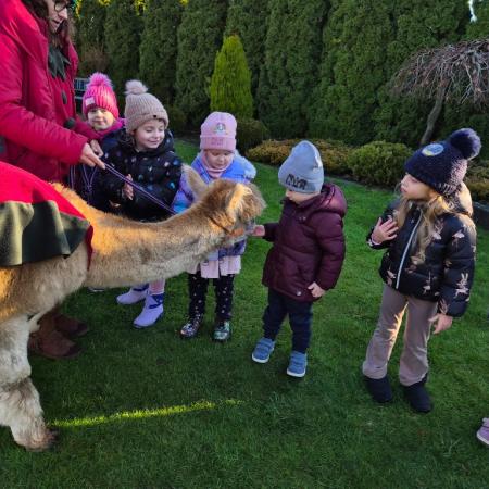 Wyświetl org. rozmiar