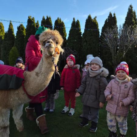 Wyświetl org. rozmiar