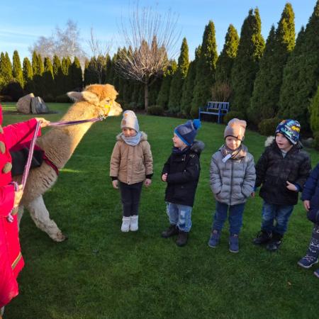 Wyświetl org. rozmiar