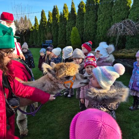 Wyświetl org. rozmiar