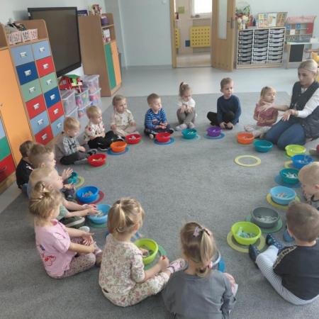 Wyświetl org. rozmiar