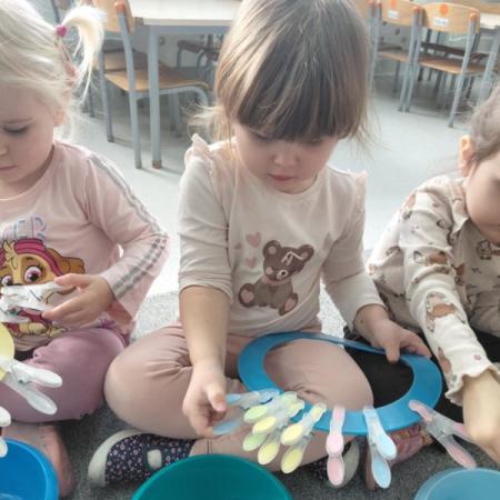 Wyświetl org. rozmiar