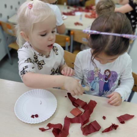 Wyświetl org. rozmiar