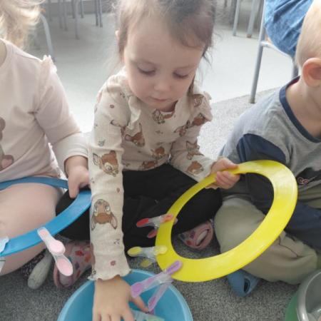 Wyświetl org. rozmiar