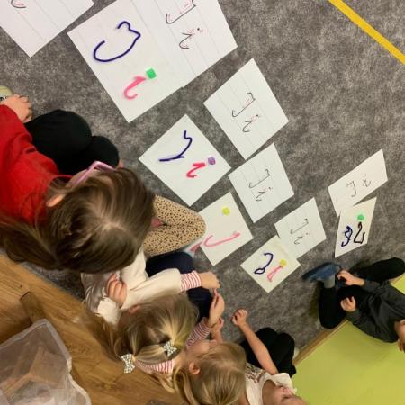 Wyświetl org. rozmiar