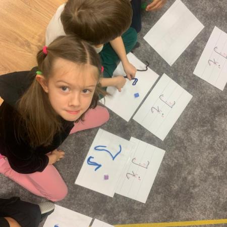 Wyświetl org. rozmiar