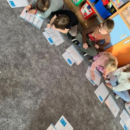 Wyświetl org. rozmiar