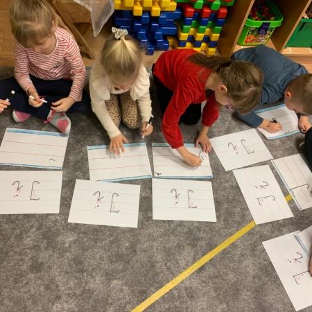 Wyświetl org. rozmiar