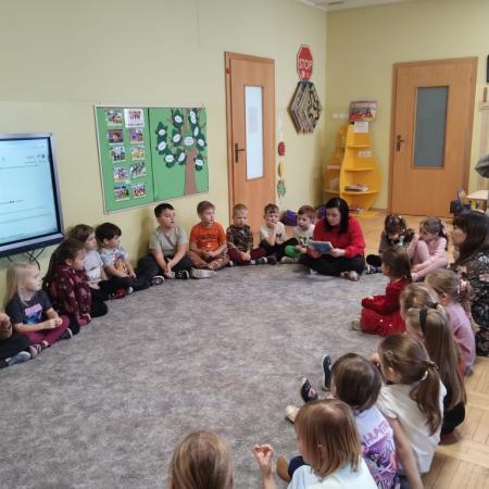 Wyświetl org. rozmiar