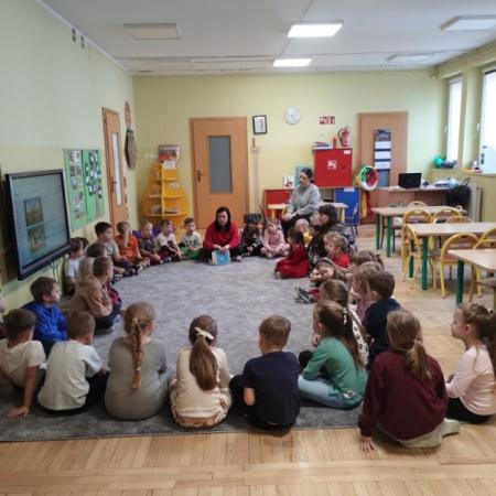 Wyświetl org. rozmiar