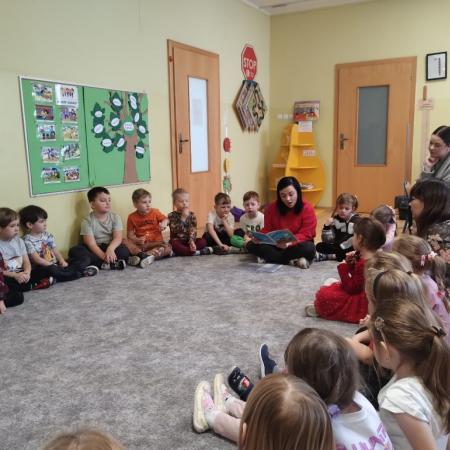 Wyświetl org. rozmiar