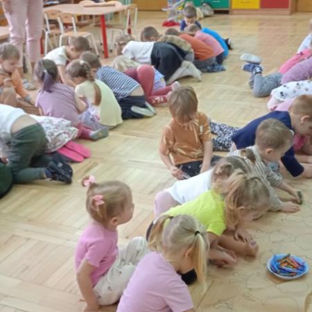 Wyświetl org. rozmiar