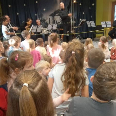 Wyświetl org. rozmiar