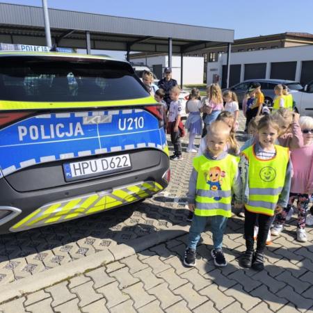 Wyświetl org. rozmiar