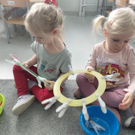 Wyświetl org. rozmiar