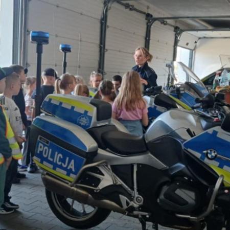 Wyświetl org. rozmiar