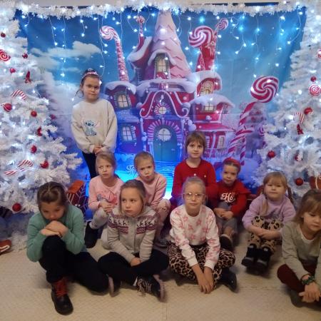 Wyświetl org. rozmiar